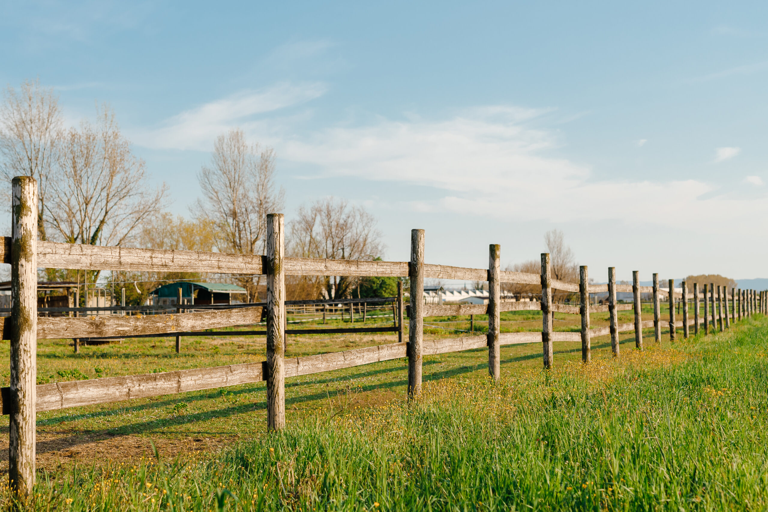 Fence Repair in Washington County, TX