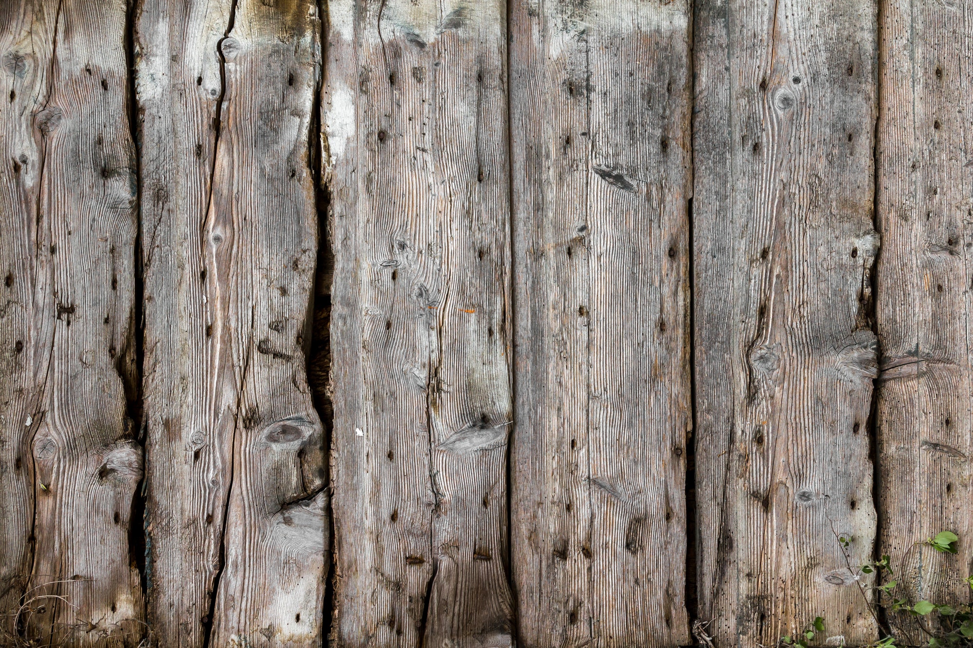 Old wood background
